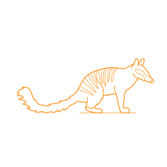 Animals Marsupials Numbat Dimensions Outline Svg File, Free Vectors File